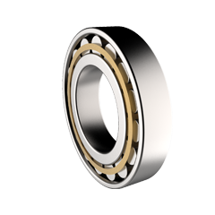 Single Row Cylindrial Roller Bearing