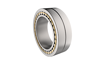 double row full complement cylindrical roller bearings