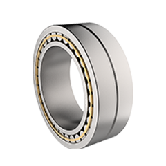 Double Row Cylindrical Roller Bearing
